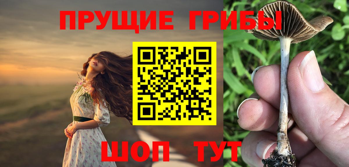 Ливны  Псилоцибиновые грибы мухоморы  Вход с VPN 